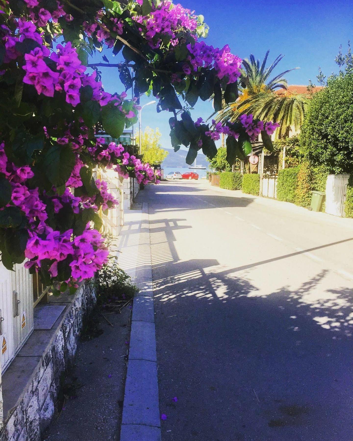 Hotel Splendido Bay Tivat Dış mekan fotoğraf